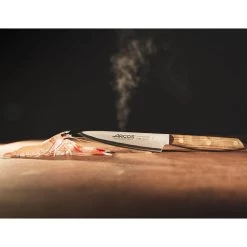 Couteau Utilitaire Arcos Nordika 14cm -Sous Chef Boutique AK0002 ArcosNordikaUtilityKnife14cm LS2