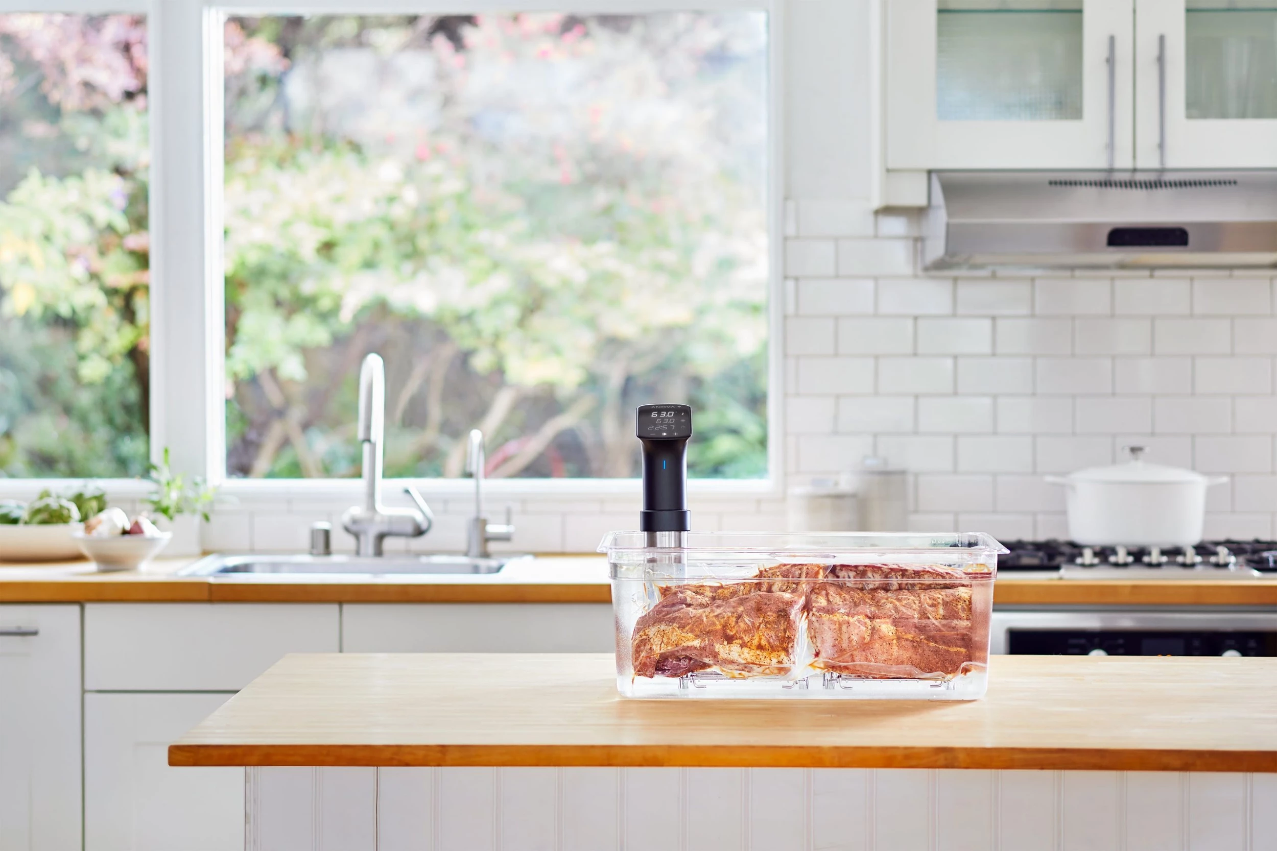 Cuisinière Anova Sous Vide Precision Cooker Pro 8 Cuisinière Anova Sous Vide Precision Cooker Pro – Image 6