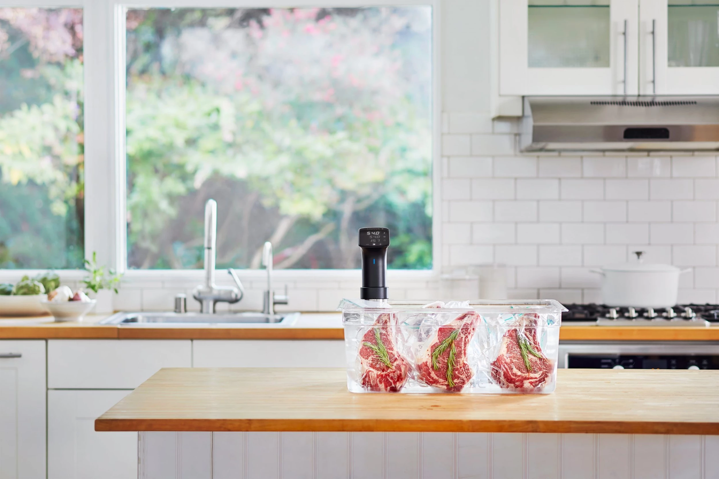 Cuisinière Anova Sous Vide Precision Cooker Pro 9 Cuisinière Anova Sous Vide Precision Cooker Pro – Image 7