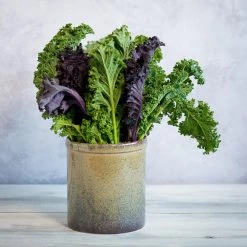 Ceramica Nicola Céramique Nicola Lagoa Ustensiles De Cuisine Jar