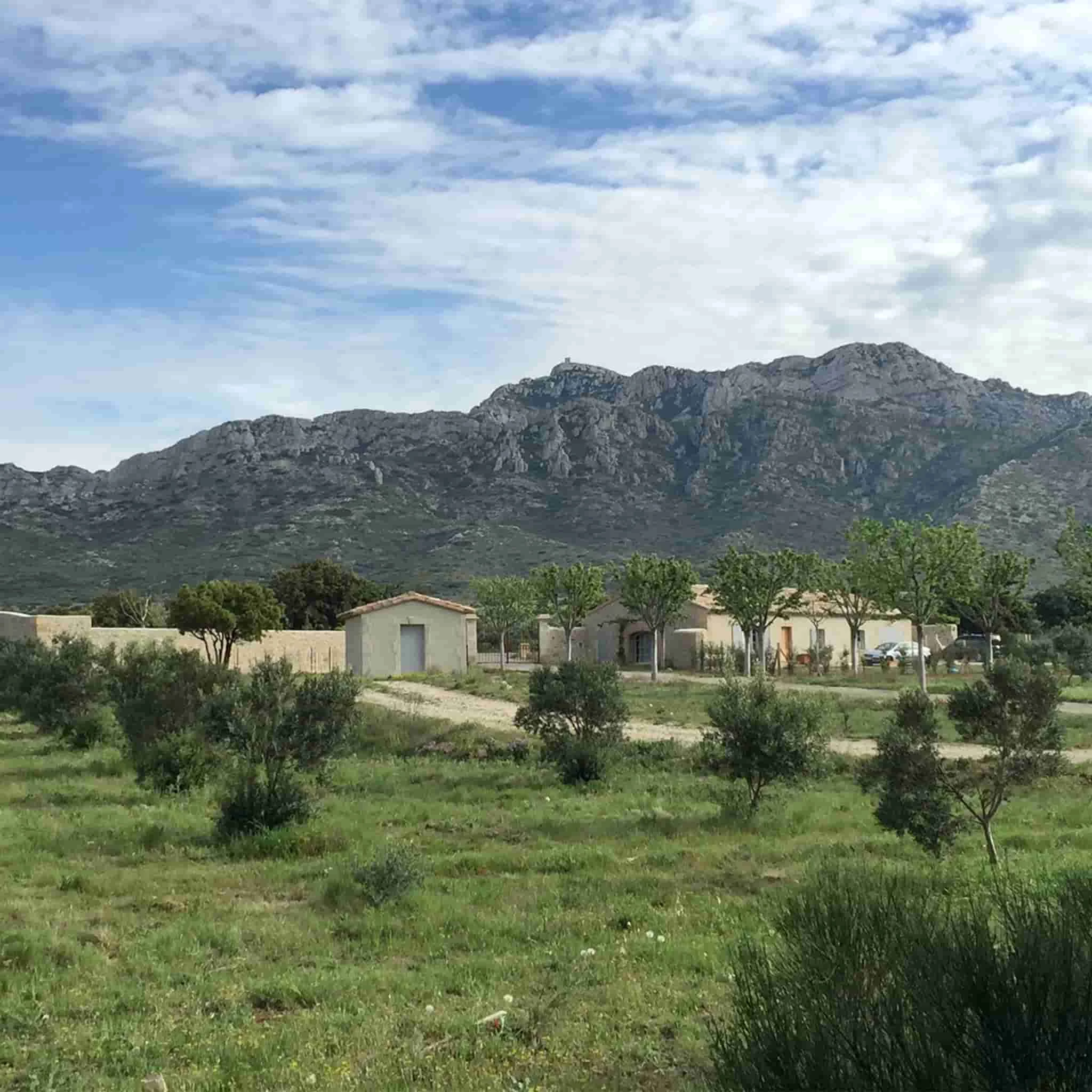 Grand Brahis AOP Vallee Des Baux De Provence Extra Virgin Olive Oil Duo 250ml X 2 6 Grand Brahis AOP Vallee Des Baux De Provence Extra Virgin Olive Oil Duo 250ml X 2 – Image 4